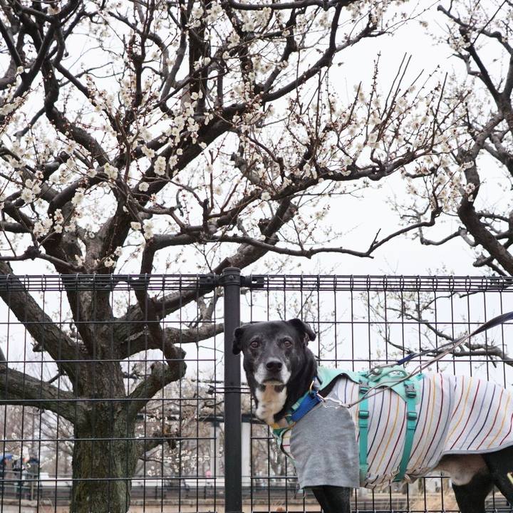 625fe296 55ce 4753 a07b 1b55cf4481ff 1771290174196