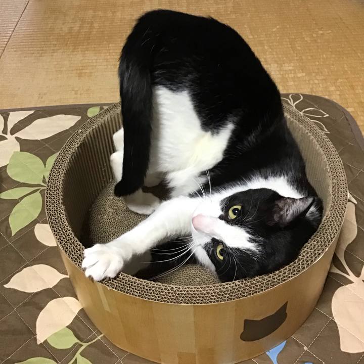 625ff2d2 6514 4d9a a724 6a83d89f2b46 1744529637030