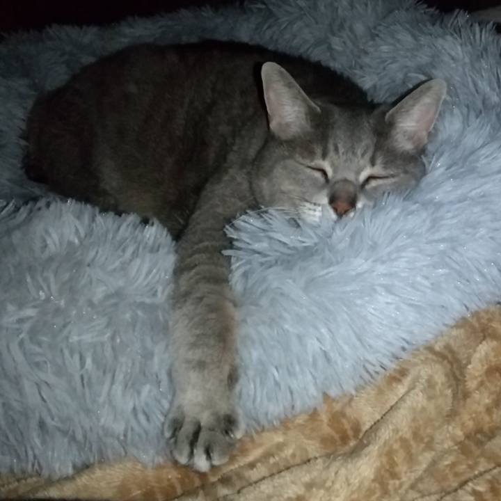 626000d5 c6cd 427e a170 3502266bf3b5 1608542607125