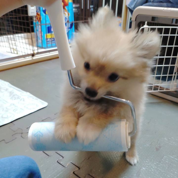 626026f1 37d2 4062 a737 d126dbc23803 1723162359295