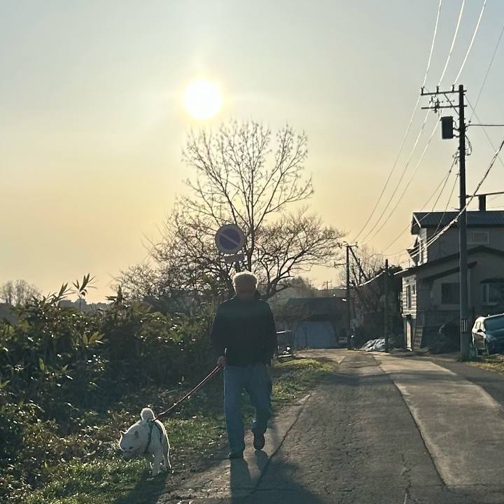 62603ce8 9210 4963 a300 e557c61cde22 1744926816322