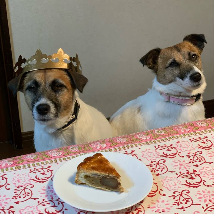 62605644 acda 48e8 aea3 dd5dff1740c5 1578828587666