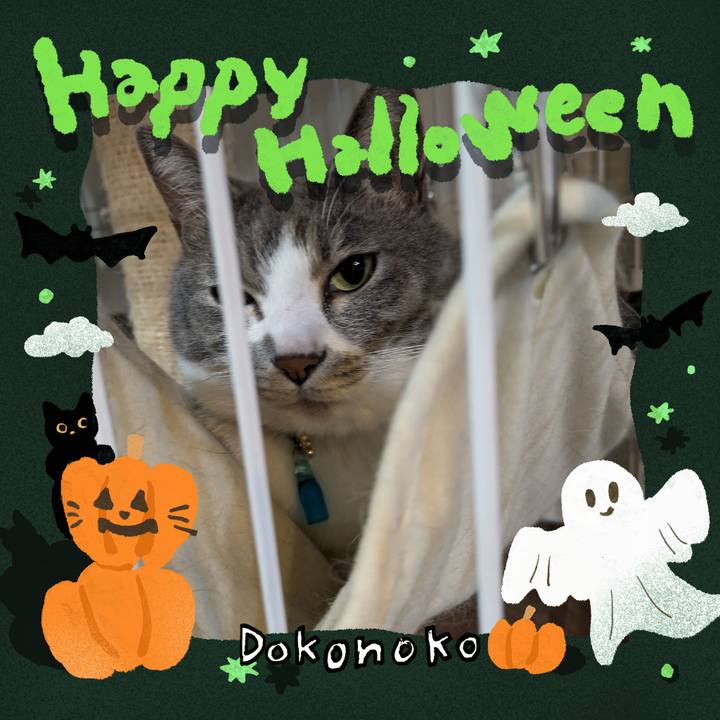 62605861 427a 4eb2 8754 29b5dd84b7b6 1729302182116