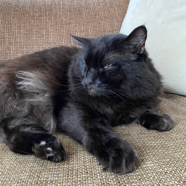 626081d2 ca82 427d ac6c 7d49894b0bc8 1637283386523