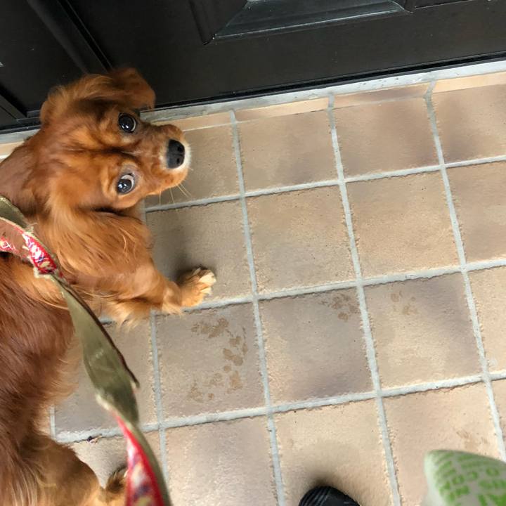 62608370 dfc4 4a04 9ed7 449c325851bb 1536397455267