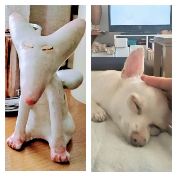 62609778 2b84 40cf 84c8 537f35d7d0d2 1711949092064