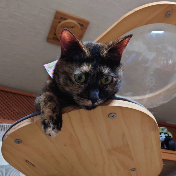 6260a2ca 8a00 4c52 abcd 197b60e9fa41 1617618132280