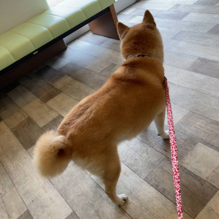 6260a601 3f0e 421b 8631 c7fbf20c7d08 1629114835909