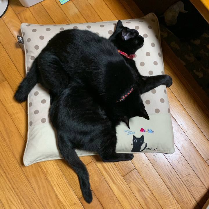 6260c1a6 2bfb 45ae a6d8 cfd79db5ab25 1560001511466