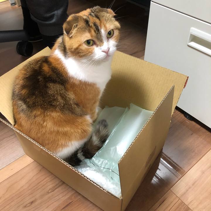 6260dddf 2140 4543 b505 d4ef74807e03 1636210258613