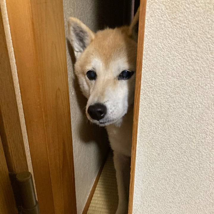 62613859 8518 4a24 ab21 b0165ad86f9e 1640569933037