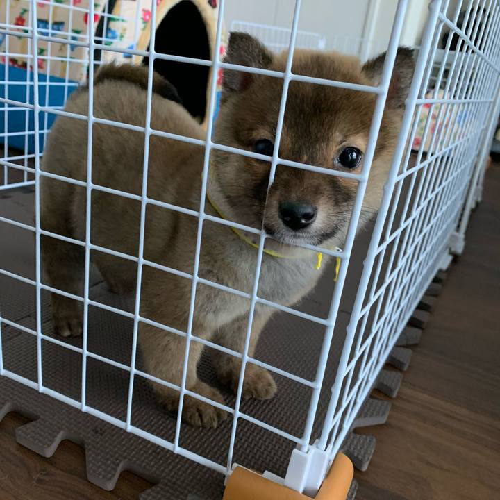 62618611 d045 44c1 ab0d 53b2d8a6e539 1615695975917