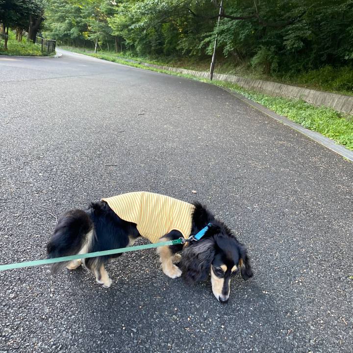 6261b176 f84b 42e4 9f8d a4e92c3de3e0 1689034607929