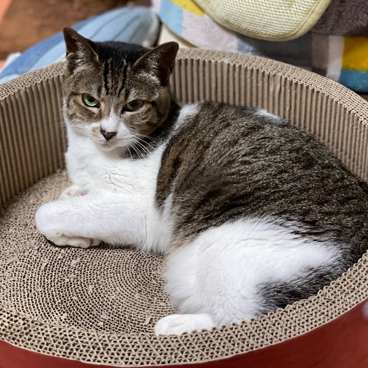 6261c795 2be7 43f3 ac84 a15f3d741cca 1623807954064