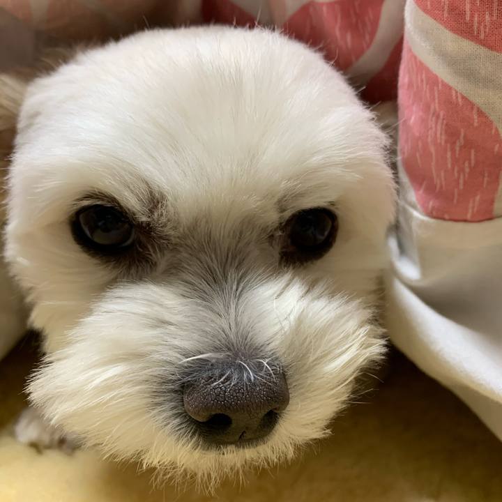 62620bf3 8b89 4795 99c1 e912c855772d 1602286921412