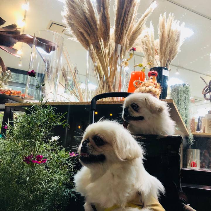 62621519 ee7f 4328 b9bb 52905cfcc284 1569666265302