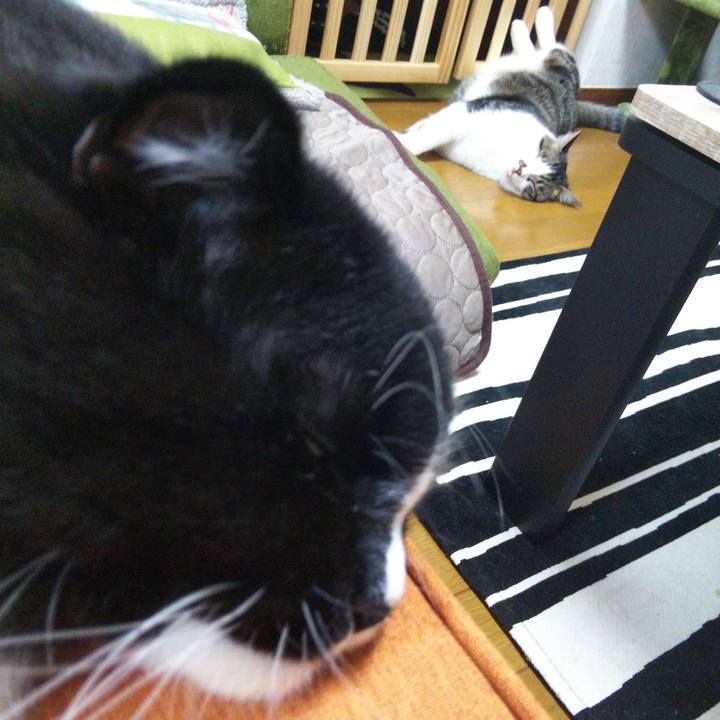 62624a2e 0464 4c25 a014 28d6726d2981 1656764777662