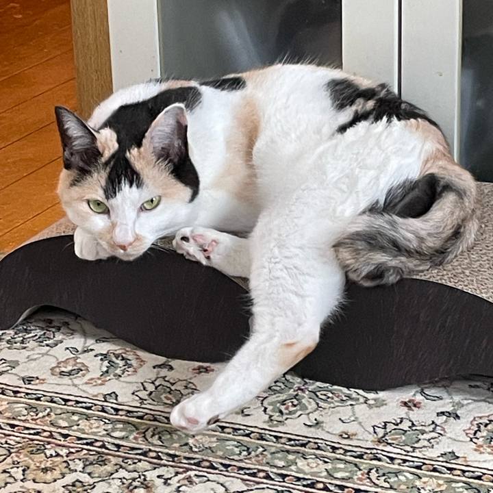 626256ae 5fc4 4b3c 8520 3cceb76cecf6 1751412228058