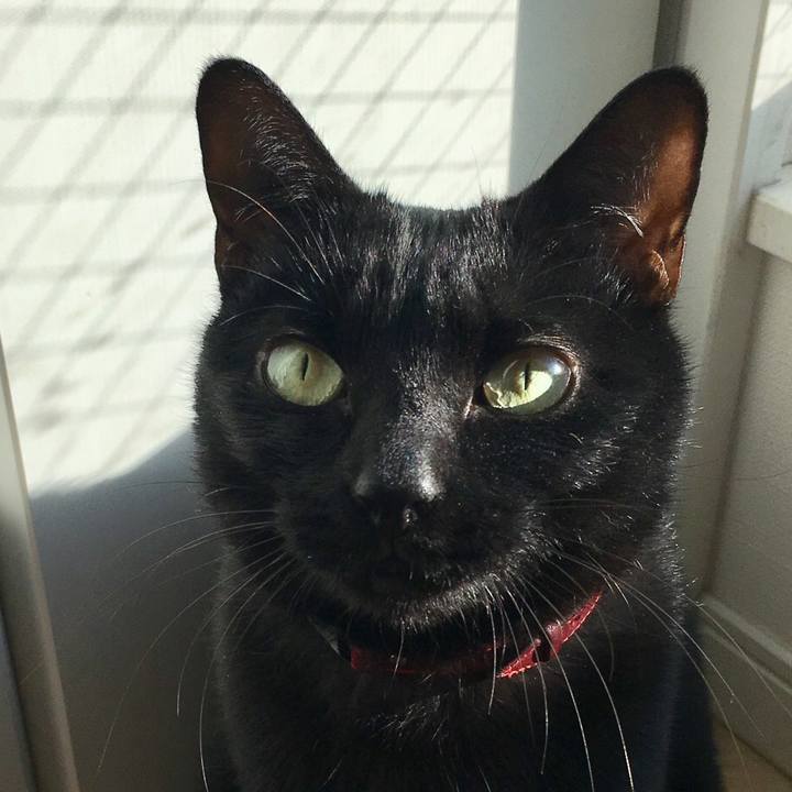 6262594f e044 42a5 ae90 1e435e0e2cd2 1540769259538