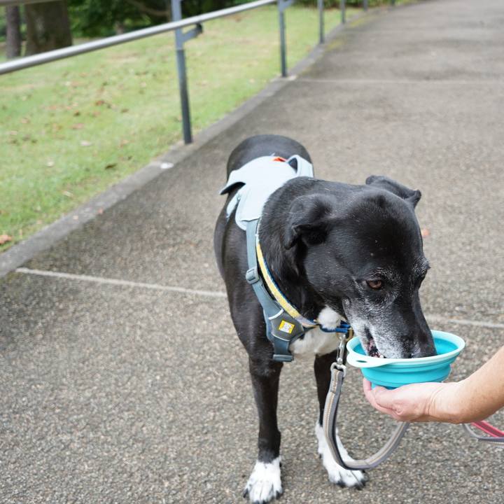 62628abe b1e9 4fac a127 fa30c924396c 1757375986761