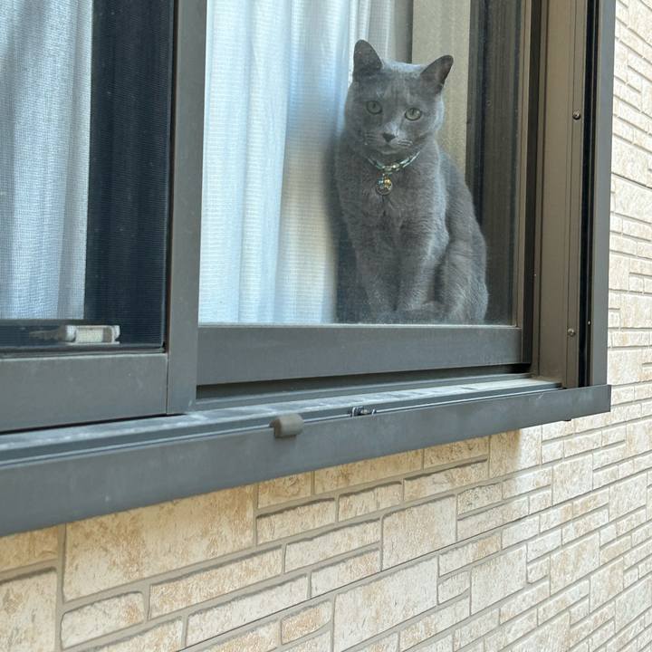 626291f2 177b 42a6 a854 fdb80454ffae 1706060829945