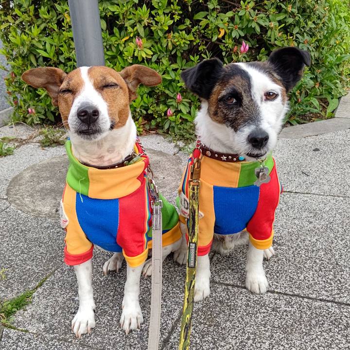 6262b0db 7648 4776 b3c6 e809f057a1d0 1680650243545