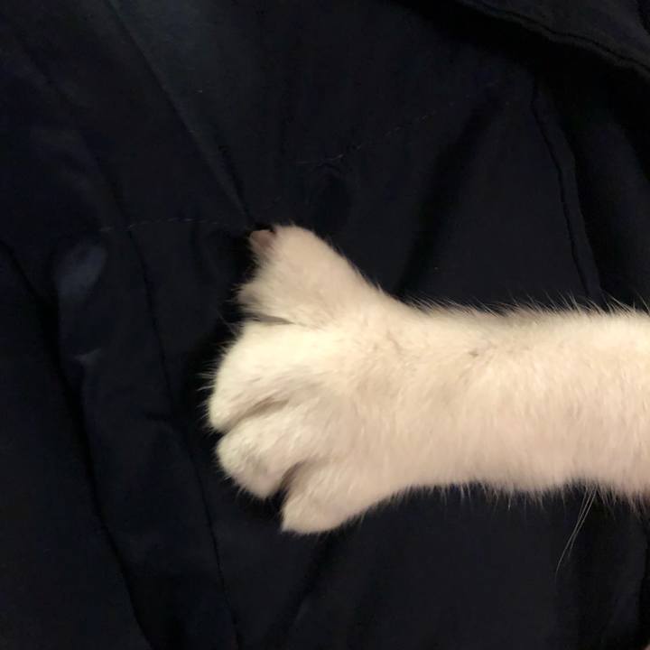 6262d26d f94c 489a bbaf b8d389f9901c 1586072389952