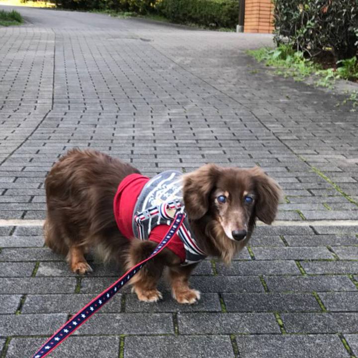 6262d3ad d5a2 41bc 820e bb837f0db2f5 1529883673822