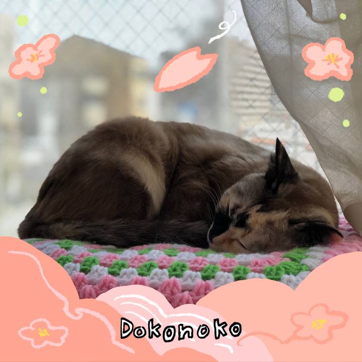 6262efa7 fc7f 4285 8800 182e72180fad 1775324909219