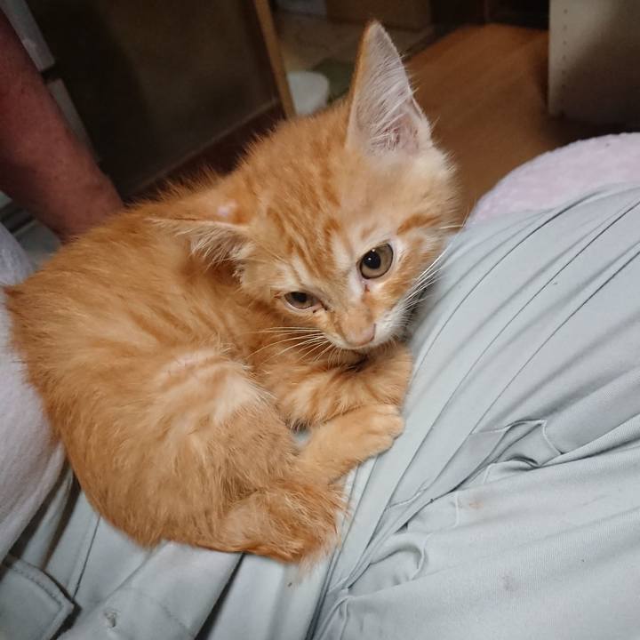 62631043 d307 4f72 b6fd 6cd38f922057 1628675183437