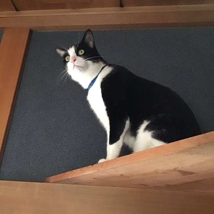 62638930 25c9 4c39 a5c7 dc322f675579 1717048026492