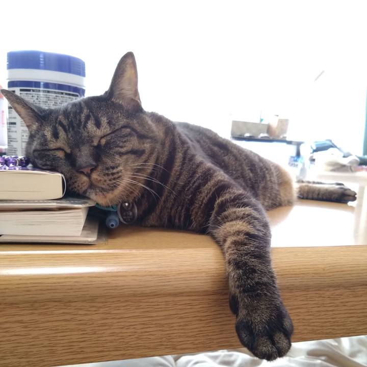 6263de4e dbe2 4d93 8da1 775d607ac229 1758412110391