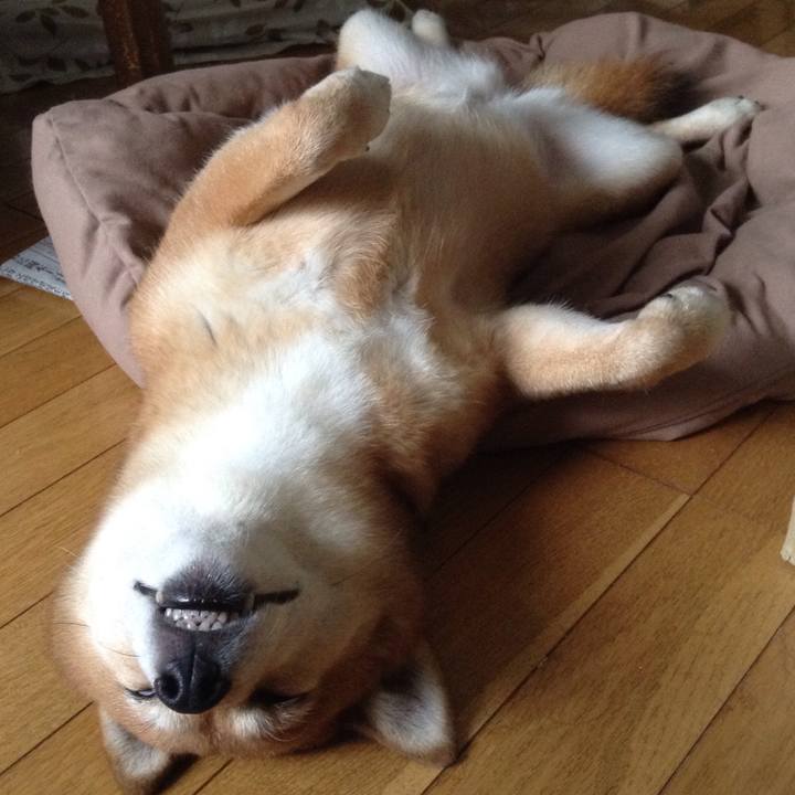 6263deb5 fbdf 490f 9078 ea0bc8c4b984 1532564686363