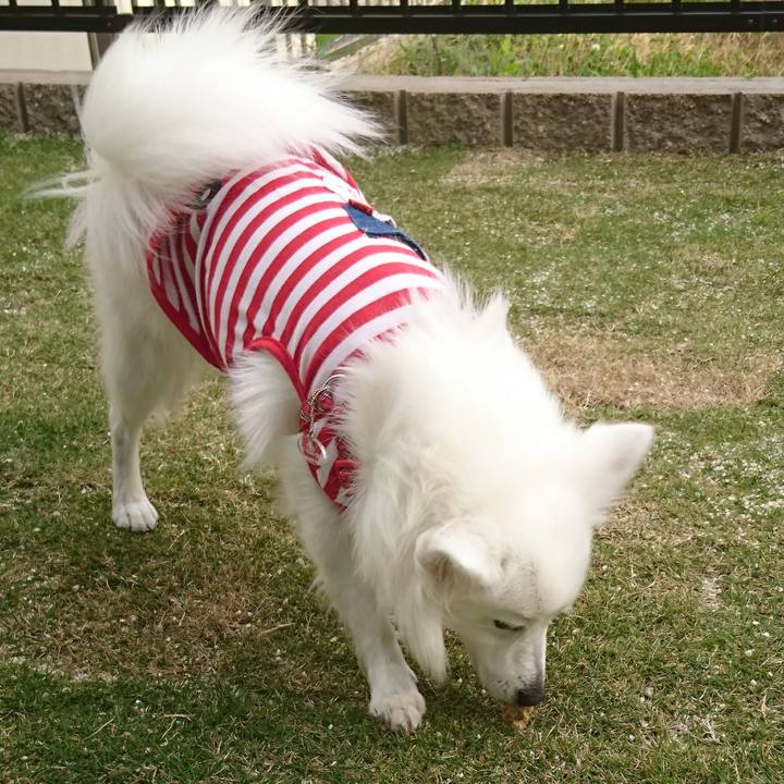 6263f255 af41 49bf ae87 f8b3f69316f3 1523867703856