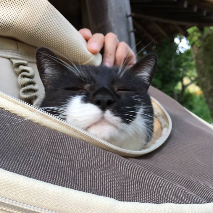 62640375 3ac0 4552 a29b d519a43c9832 1557151132676