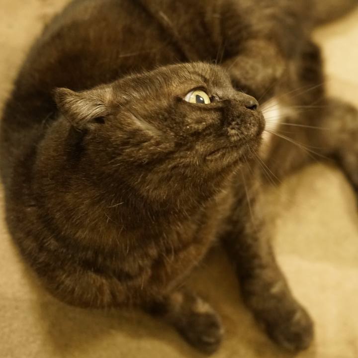 62641d38 214a 4f7d ac9d 96981976b535 1612191769533