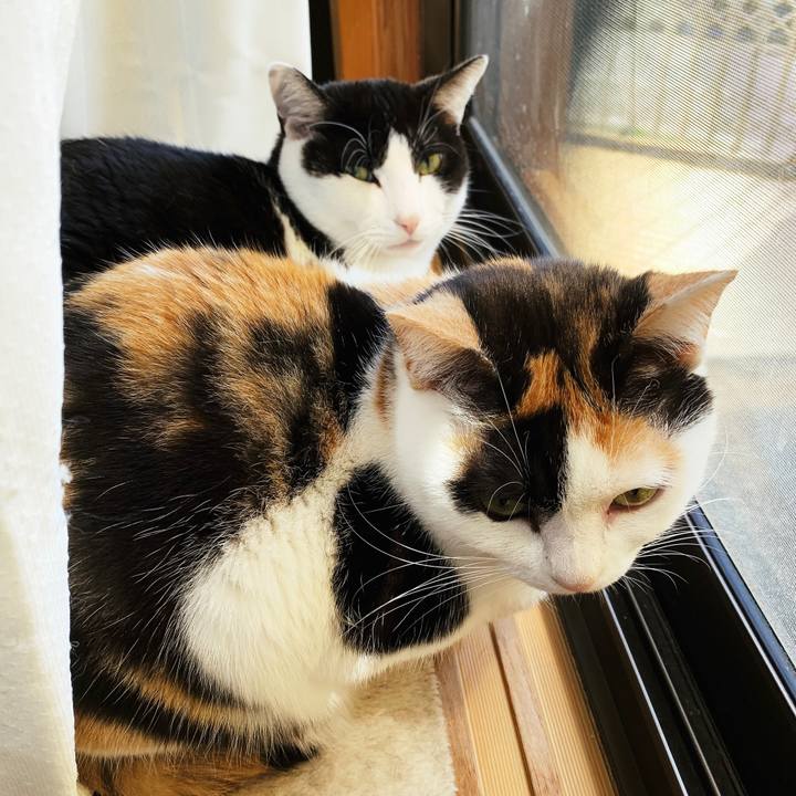 62643526 b976 42ec afd6 56e568eb835e 1556849368173