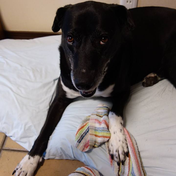 62646fa4 794f 4c95 8c60 89b2f2fd3893 1723162060467