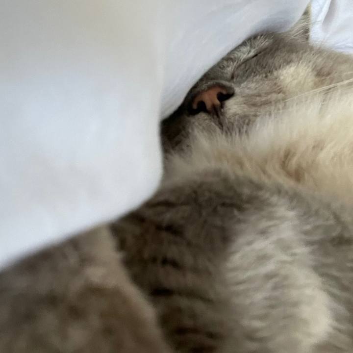 62647428 cbdc 4a6b a5fb d9f9ccd2ddd3 1659145455581