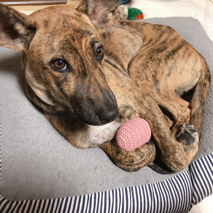 6264841e 4a60 4b6c bb0d de41d7eca88d 1574172668690