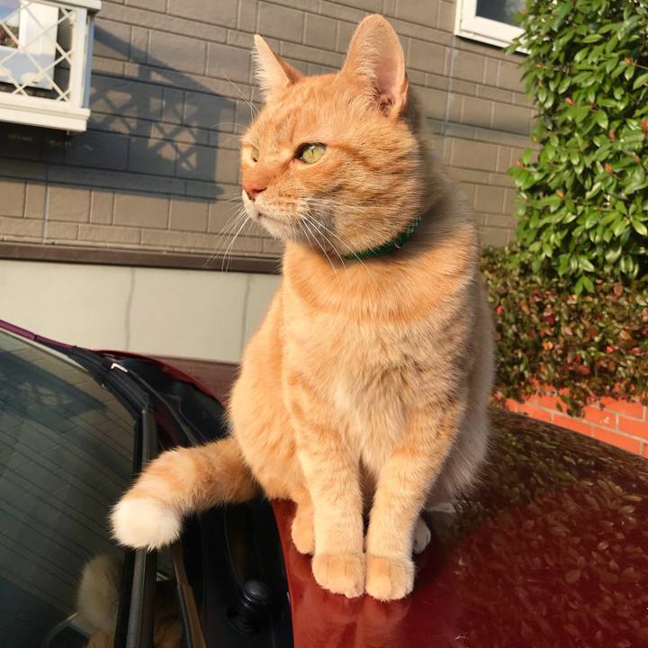 6264af24 f36d 4923 bf98 5027692154ce 1519372569189