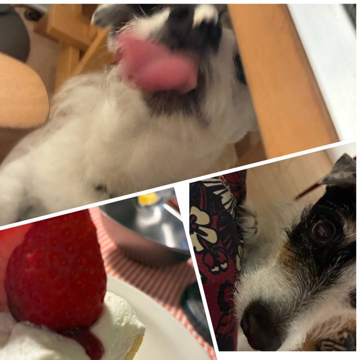 6264e61f cb6f 46ce 8925 8f966d3f972b 1771945830550