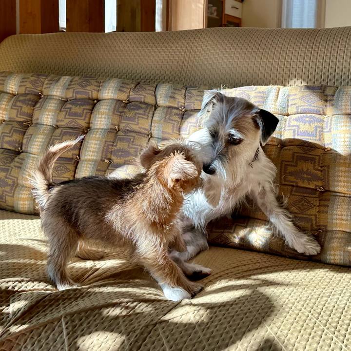 6265129c bfb1 4eff 8ec6 266b0597b37c 1701955498327