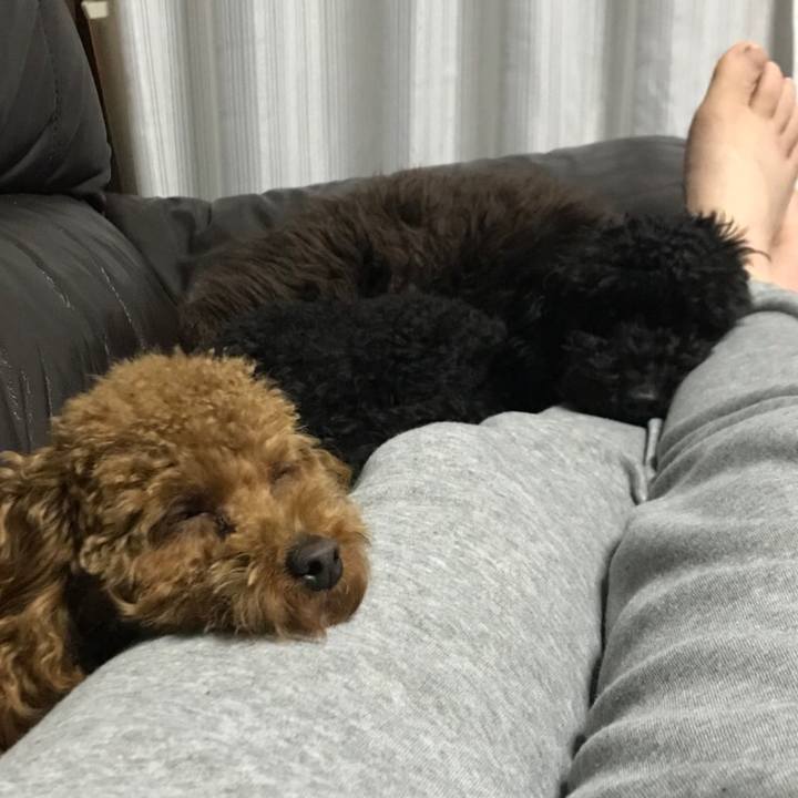 62652f09 0924 4e63 9b54 fc333c33cdb6 1520604033248