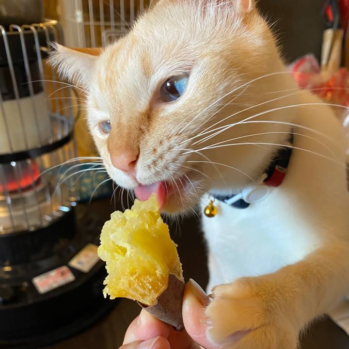 6265c2c8 7033 4eee 955d e90251b4c734 1611146266023