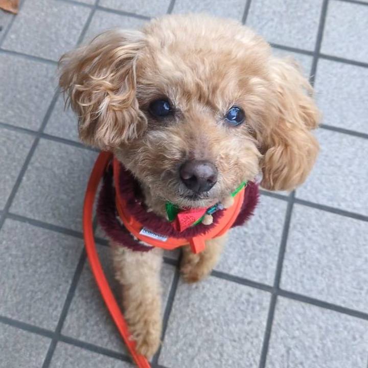 6265c2de 4458 4fc4 becd 84ce829ccfc9 1766790525236