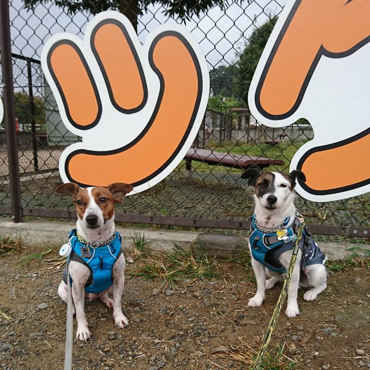 6265cfe6 8ed7 4904 bef6 9a88d70c66f8 1570316022914