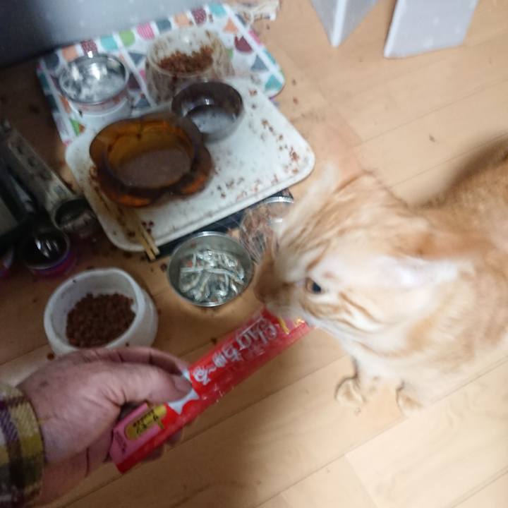 62661cb6 7036 4035 bd8f d87c4bc629a0 1643233267071