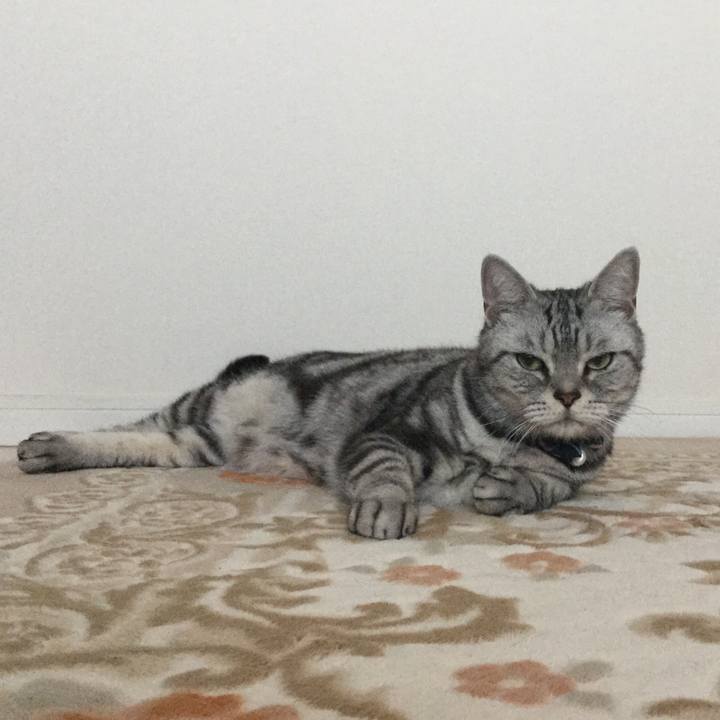 62662554 2745 4f24 8a00 b5611aa2854c 1514674368021