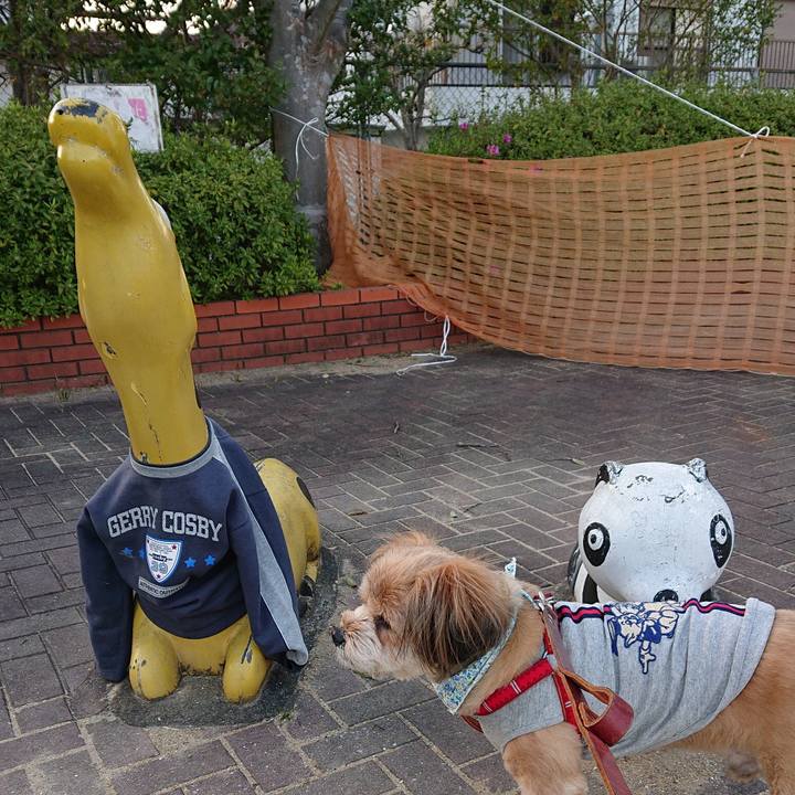 626626f1 495a 4846 8a87 76c3c22ec6fa 1585056207347